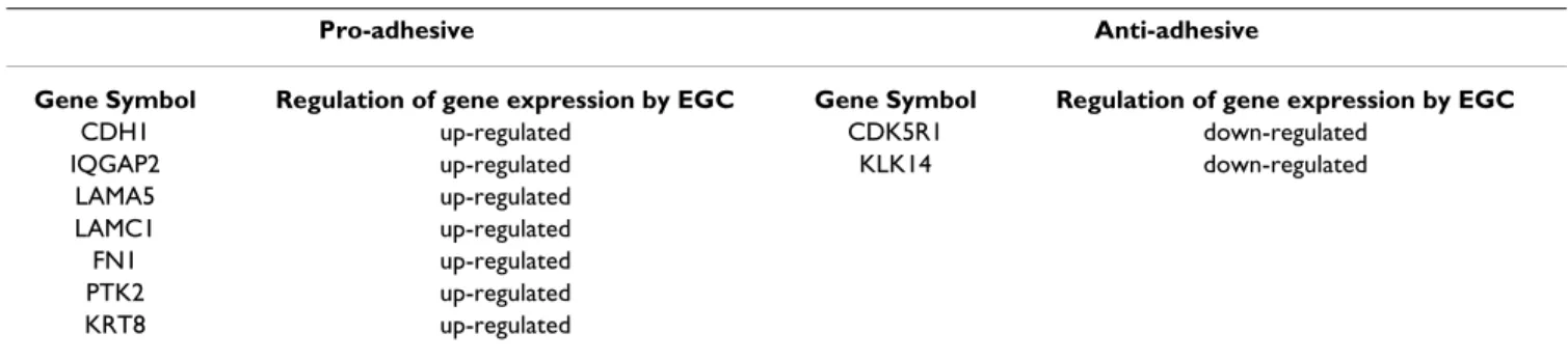 Table 6: Genes controlling intestinal epithelial cells adhesion and modulated by enteric glial cells.