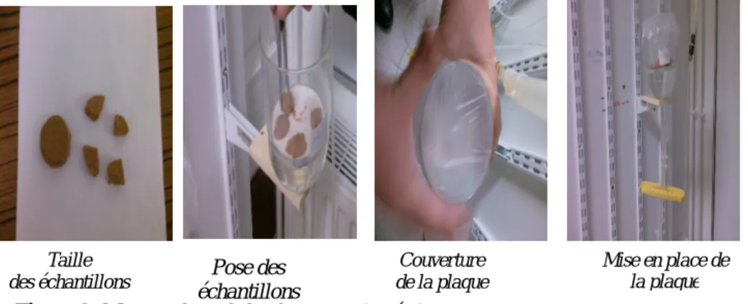 Figure 3. Mise en place de la plaque tensiométriquesPose deséchantillonsTailledes échantillons Couverture de la plaque Mise en place dela plaque
