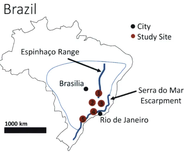 Figure 2.  The locations of study sites. 1)  EspinhaFo Range,  Barreto et al., 2013  2) Cristiano Otoni Step, Cherem  et al., 2012 3) Sdo Geraldo Step, Cherem et al., 2012 4) Serra do Mantiquelra and Serra do Mar (North), Salgado et al., 2016  &amp; Rezend