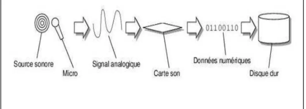Figure 1.7 : Acquisition d'un son. [5]
