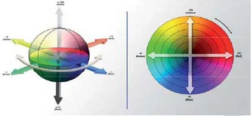 Figure 1.13 : Le modèle CIE LAB 
