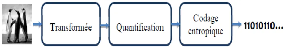 Figure 2.6 Diagramme de la compression par les transformées 