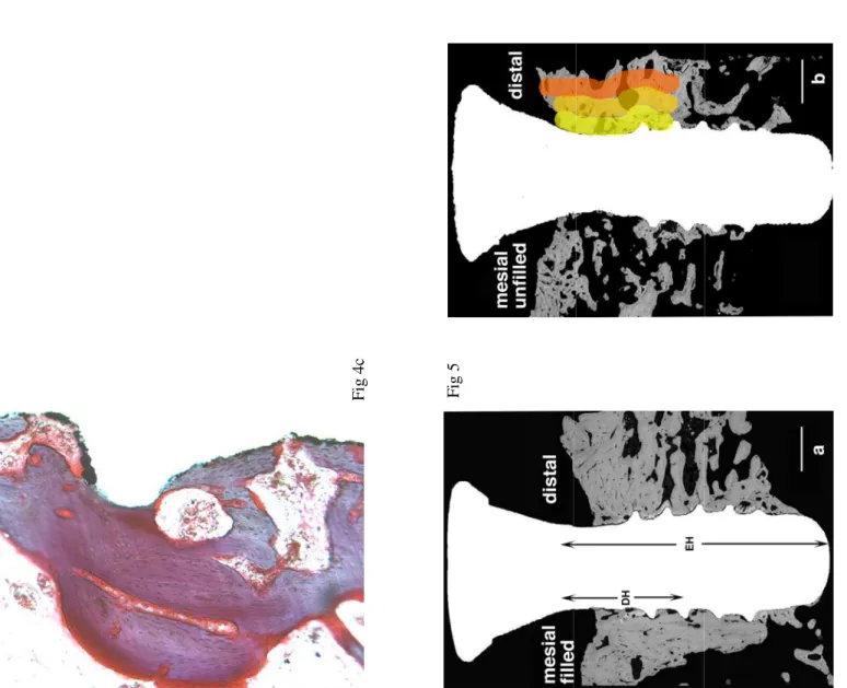 Fig 4c  Fig 5