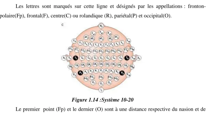 Figure 1.14 :Système 10-20 
