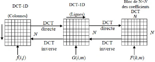Figure II.14 : calcule de la DCT-2D en utilisant la propriété de séparabilité.