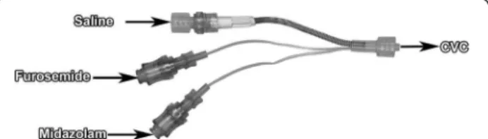 Figure 1 Three-lumen infusion device (VSET + M) with the central lumen reserved for carrier fluid and the two flexible low dead volume tubes reserved for furosemide and midazolam infusions.