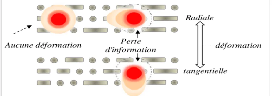 fig. I.12  Figure des différentes déformations possibles sur un disque optique [6]  