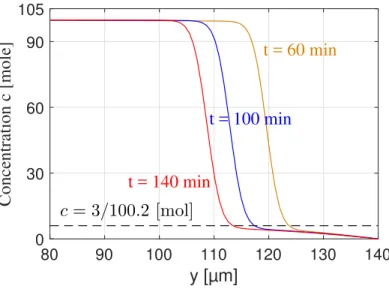 Figure 6: Evolution of real concentration (phase composition) along the line of investigation