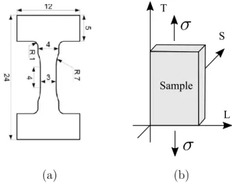 Figure 8: AA 2024 tested samples: (a) general view of sample geometry; (b) loading description