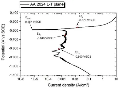 Figure 10: Polarization curve of the AA 2024 in a solution of 3.5 % wt. NaCl (plane L-T)