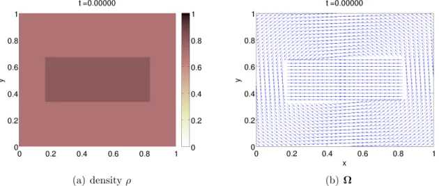 Figure 6: Initial data for ρ (Fig. 6(a)) and Ω (Fig. 6(b)), as functions of x and y. The density is color-coded, with color map indicated to the right of Fig