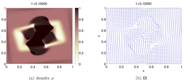 Figure 8: Cluster collision. No background pressure and c = 1. Density ρ (Fig. 8(a)) and velocity Ω (Fig