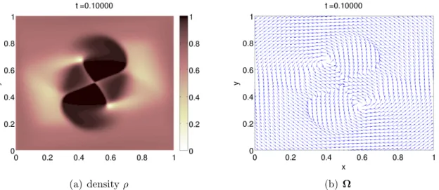 Figure 9: Cluster collision with background pressure and c = 1. Density ρ (Fig. 9(a)) and velocity Ω (Fig