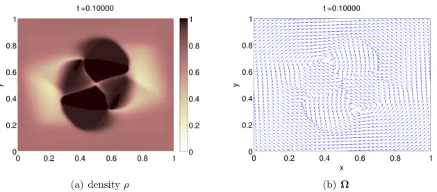 Figure 11: Cluster collision with background pressure and c = 0.5. Density ρ (Fig. 11(a)) and velocity Ω (Fig