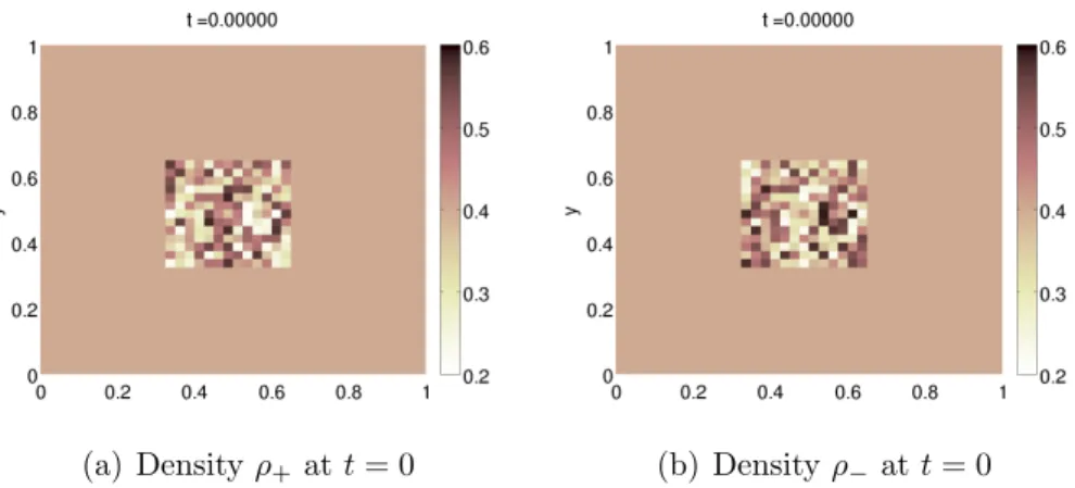 Figure 12: Crowd model: Initial densities ρ + (Fig. 12(a)), ρ − (Fig. 12(b)) as functions of x and y