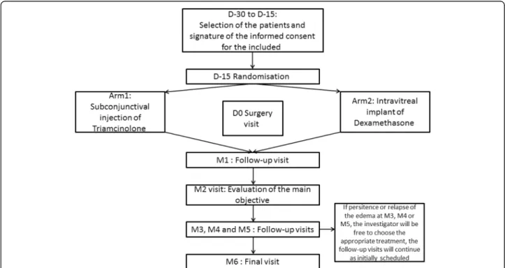 Fig. 3 Flowchart: overview of the enrolment and follow-up of study participants. D day, M month