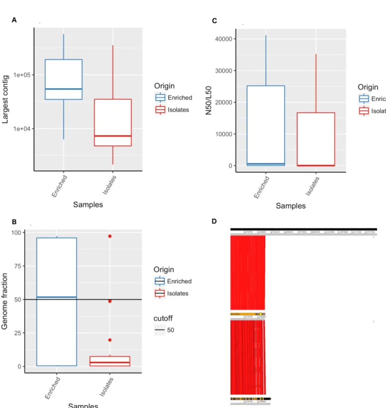 Fig 2. Assembly of genomes obtained from sequencing of DNA recovered from Whatman 903 filter paper cards spotted with APW-enriched specimens and culture derived isolates from patients infected with Vibrio cholerae O1