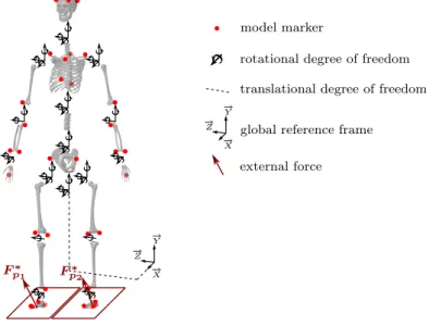 Figure 6: Kinematic model, model marker position and external forces applied to the biomechanical model (bones graphics are adapted from the AnyBody Managed Repository: http://www.anybodytech.com/)