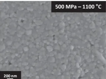 Figure 3. HRSEM image of the fracture surface of the BST ceramic processed  at 500 MPa after annealing at 1100 C
