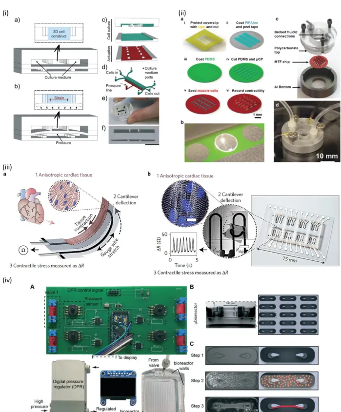 Figure  7.  Characteristic  mechanical  stimulation  heart-on-a-chip  systems:  (i)  Design  of  the  3D  heart-on-a-chip  microdevice with a pneumatic actuation system for inducing uniaxial cyclic strains to the 3D cell constructs, reprinted  with permiss