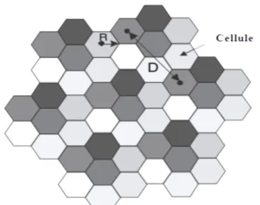 Figure I.5 : Structure d'une cellule. 