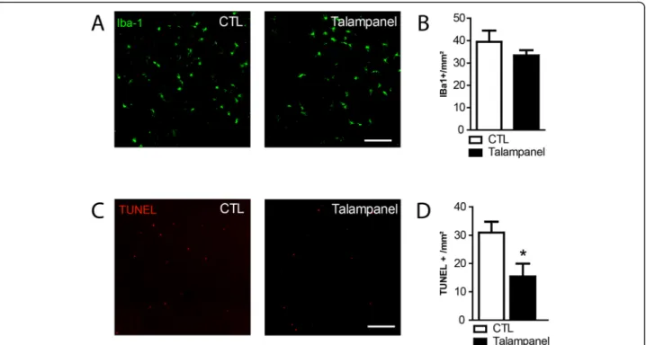Fig. 7 Talampanel prevents in vivo monocyte-induced photoreceptor apoptosis. Two- to three-month-old Cx3cr1 GFP/GFP mice were exposed for 4 days to constant light