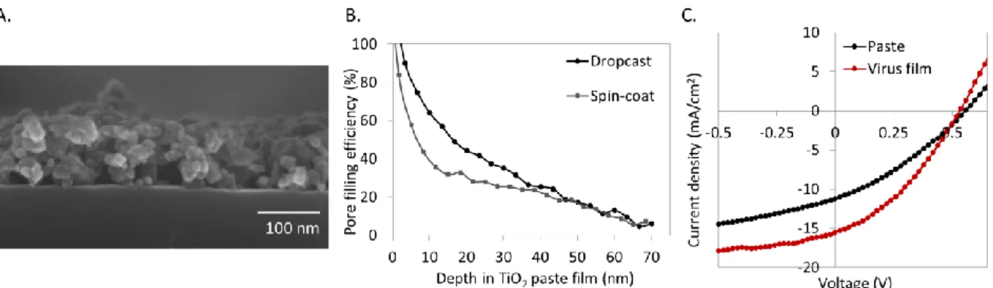 Figure 4. Randomly organized TiO 2  nanoparticles prepared from the same TiCl 4  precursor result  in devices with a lower efficiency