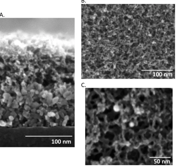 Figure S1 presents additional scanning electron microscopy (SEM) images that highlight  the interconnected mesh-like morphology of virus-templated titania thin films