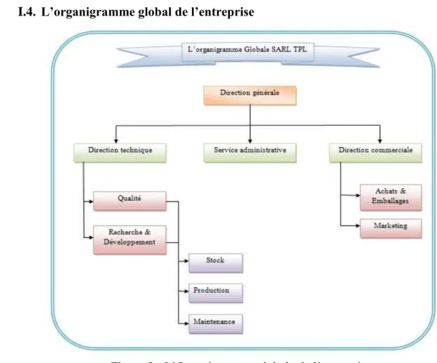 Figure 2 : L’Organigramme globale de l’entreprise  I.5.  L’organigramme du magasin 