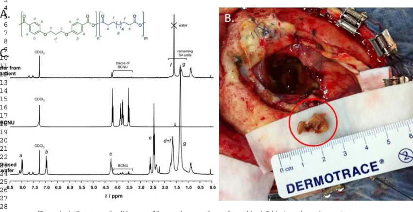 Figure 1: A. Structure of polifeprosan 20: a random copolymer formed by 1,3-bis-(p-carboxyphenoxy)propane  (CPP, green square) and sebacic acid (SA, blue square) monomers (20:80 molar ratio) connected by anhydride  bonds ; B