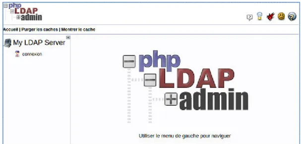Figure 2.1 interface phpldapadmin 