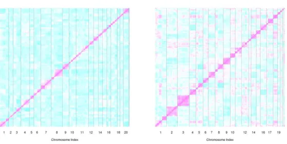 Figure 1: Two correlation (Kendall’s τ ) heatmaps for Chin et al. (2006) (left) and Douglas et al