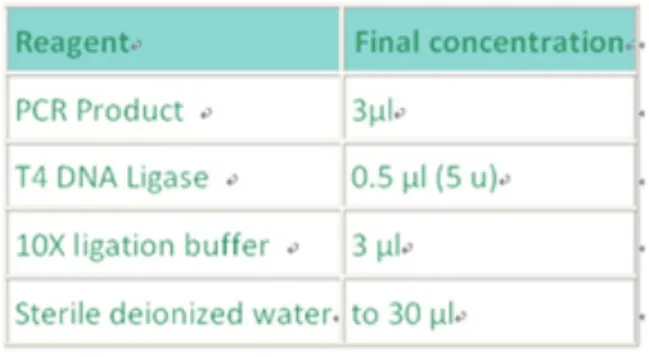 Table 3: The components of the ligation mixture. 