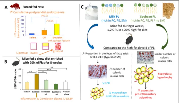 Fig. 5. Summary of recent studies about the impact of oil composition, emulsified structure and the type of phospholipid emulsifier on endotox- endotox-emia and inflammation (Laugerette et al., 2011, 2012; Lecomte et al., 2016)