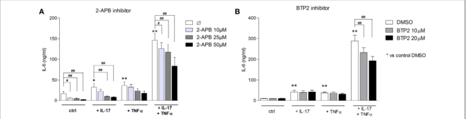 FIGURE 5 | Inhibition of SOCE reduces IL-6 production induced by the IL-17/TNFα combination