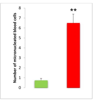 Figure 10: The percentage (/1000) of micronucleated erythrocytes in the exposed population  (red color) compared to the negative controls (green color)