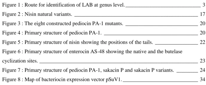 Figure 1 : Route for identification of LAB at genus level. ____________________________ 3  Figure 2 : Nisin natural variants