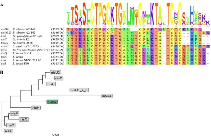 Figure  2 :  Nisin  natural  variants.  (A)  The  multiple-sequence  alignment  of  all  natural  nisin  variants aligned with strain origin obtained by Muscle Program