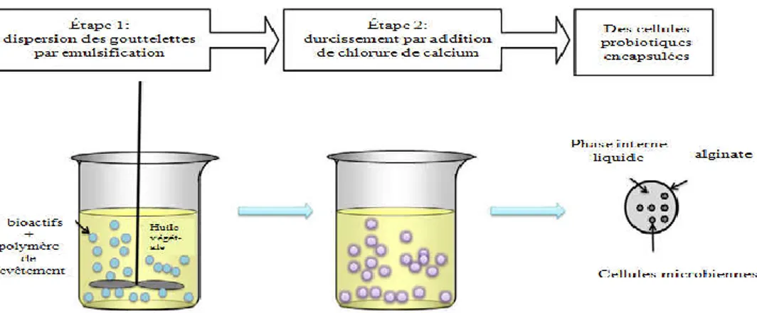 Figure I. 3: Schéma représente la méthode d’émulsion [Burgain., 2011]. 
