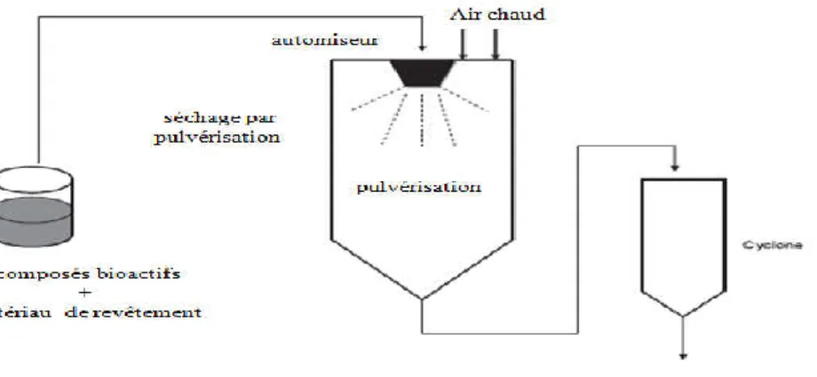 Figure I. 4: Schéma représente la méthode de séchage par pulvérisation [De Vos et al., 2010]