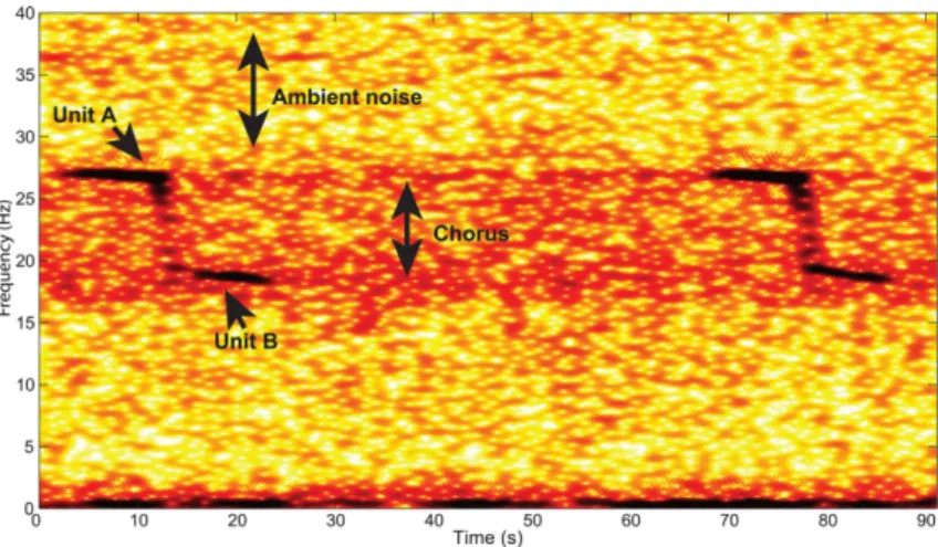 Figure 4.5 – Spectrogramme de deux Z-calls cons´ ecutifs. Figure extraite de [Leroy et al., 2016].