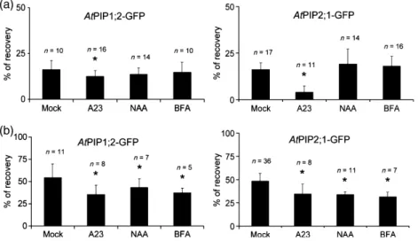 Figure 5. Effects of drug pretreatments on the recovery after photobleaching of AtPIP-GFP constructs.