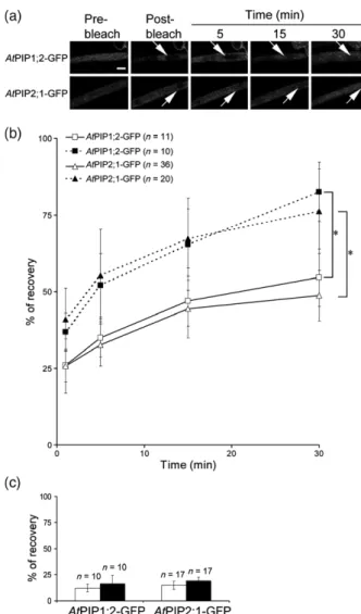 Figure 6. Fluorescence recovery after photobleaching (FRAP) of AtPIP-GFP constructs upon 100 m M NaCl treatment.