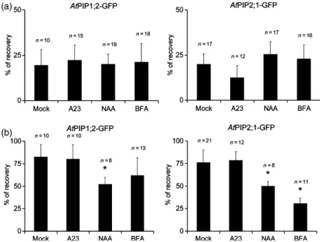 Figure 9. Subcellular trafficking mechanisms controlling AtPIP cycling in resting and salt stress conditions.