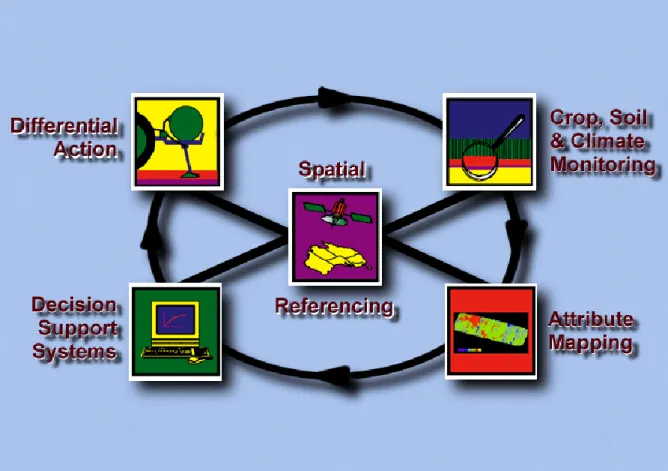 Figure 1.3 The Precision Agriculture wheel model showing the five main processes for a site-specific  crop  management  system  (reproduced  from  Precision  Agriculture  Laboratory,  The  University  of  Sydney, https://sydney.edu.au/agriculture/pal/about