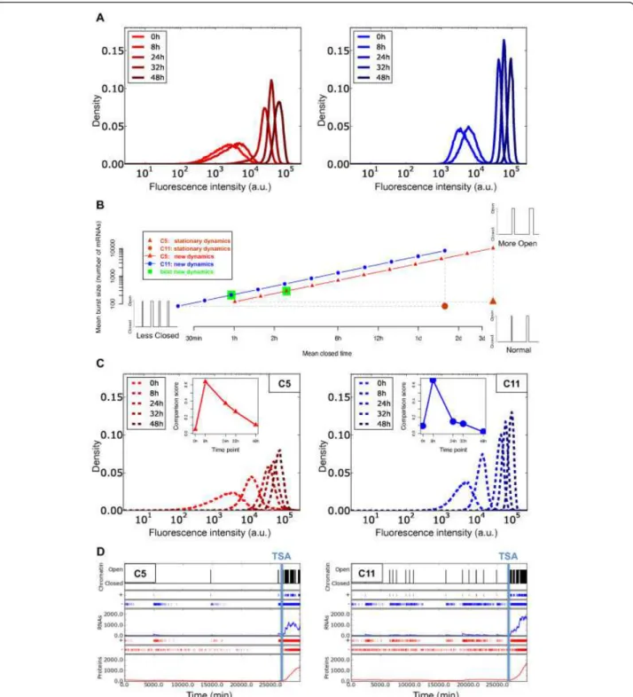 Figure 6 Model simulation of the perturbation of chromatin dynamics after trichostatin A (TSA) treatment