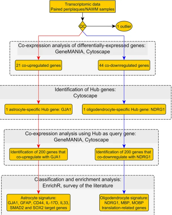 Figure 1. Workflow No. 1.  Figure 1. Workflow No. 1.