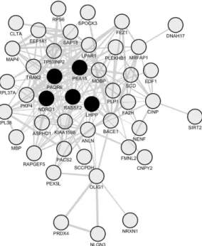 Figure 4. Network of co-downregulated genes in spinal cord periplaques. A co-expression network  was generated with the set of genes that are constantly downregulated in periplaques as compared  to adjacent normal-appearing white matter (NAWM)