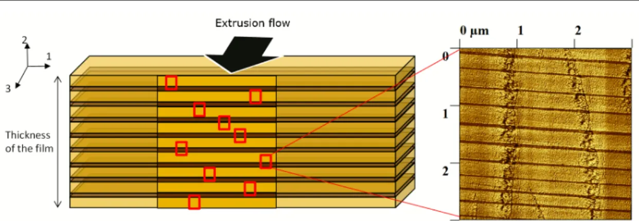 Figure 1.2: AFM specimen and image analysis principle. The arrow represents the extrusion flow direction (left); AFM image of partial cross section of the sample (vertical lines are compression lines due to sample preparation, right).