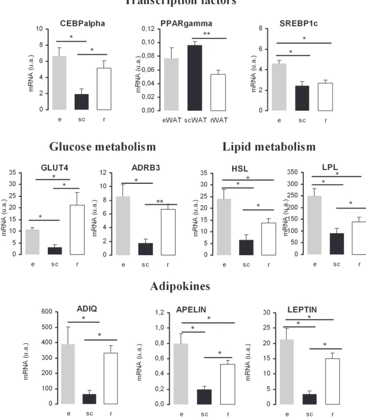 Figure 2. Comparison of averaged multisizer adipose cell profile curves from total adipocytes